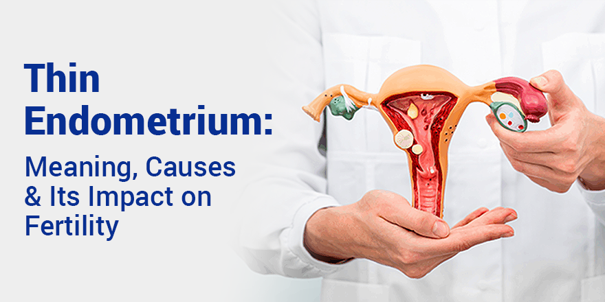 Thin Endometrium: Meaning, Causes, and Its Impact on Fertility
